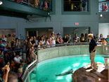 Norwalk Aquarium