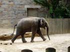 National Zoo